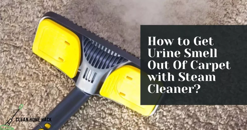 How to Get Urine Smell Out Of Carpet with Steam Cleaner