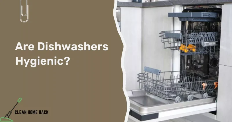 Are Dishwashers Hygienic