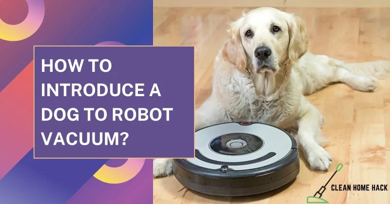 How to introduce a dog to Robot Vacuum