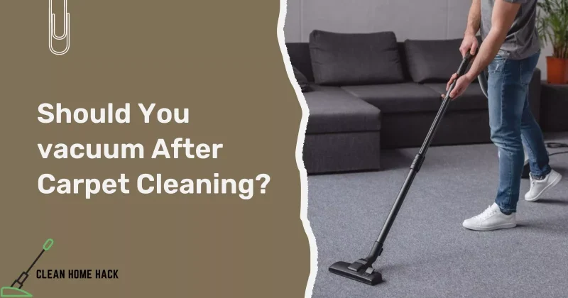 Should You vacuum After Carpet Cleaning