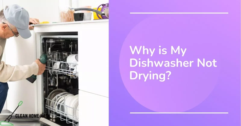 Why is My Dishwasher Not Drying