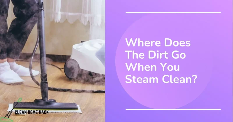 Where Does The Dirt Go When You Steam Clean