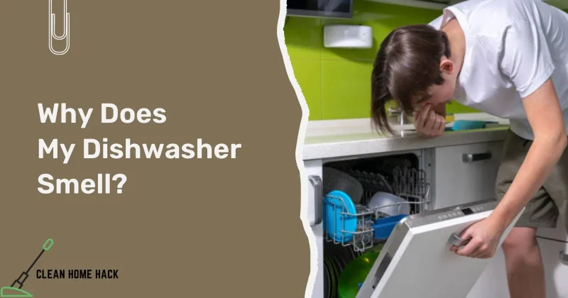 Why Does My Dishwasher Smell